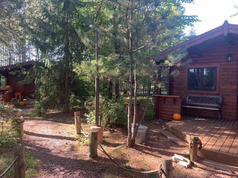 Honeybear Hideaway Cabin Hayward Exterior photo