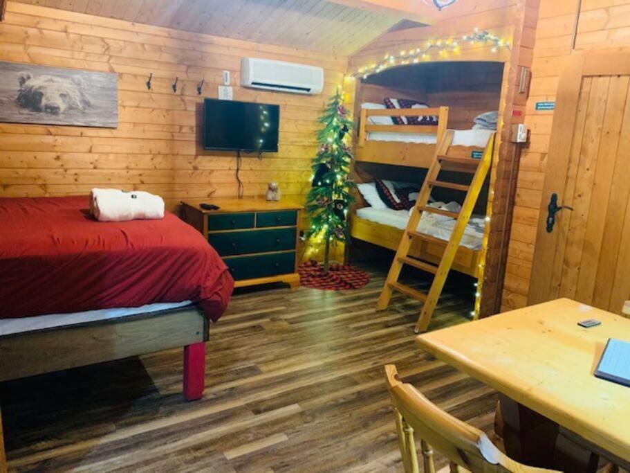Honeybear Hideaway Cabin Hayward Exterior photo