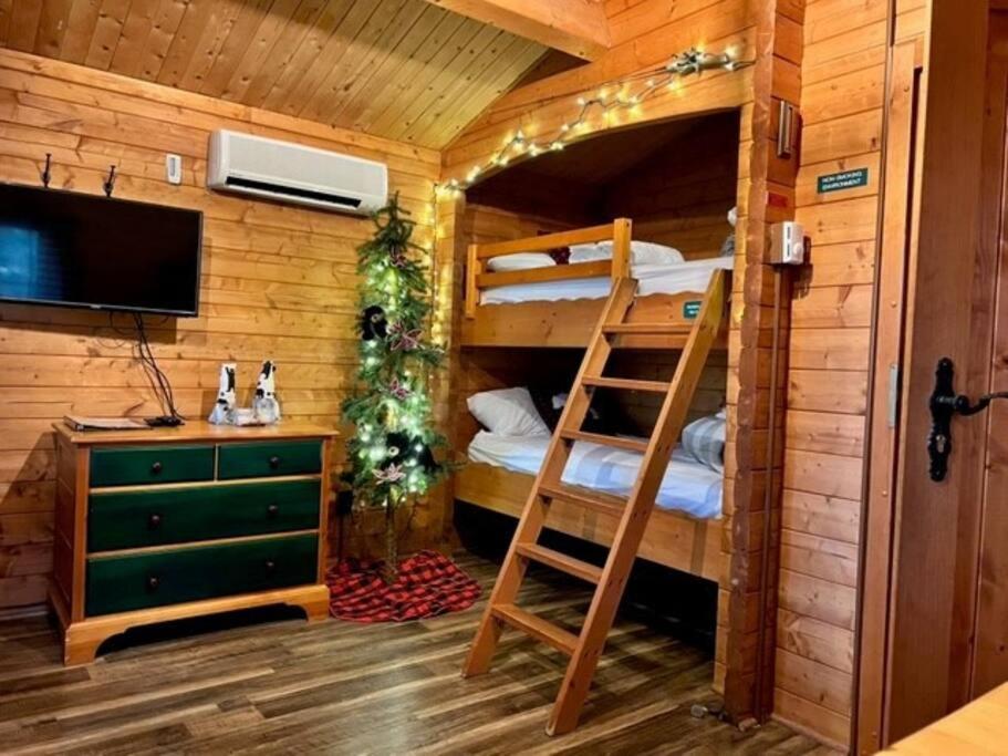 Honeybear Hideaway Cabin Hayward Exterior photo